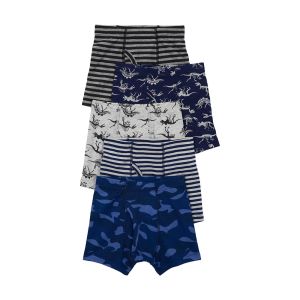Carter's 大童恐龍與化石5件組內褲